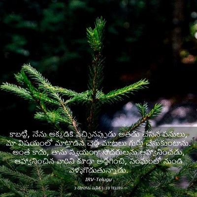 Picture 03 - 3 యోహాను పత్రిక 1:10 TELIRV - కాబట్టి, నేను - Bible Verse Picture