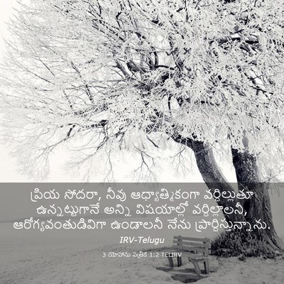 Picture 03 - 3 యోహాను పత్రిక 1:2 TELIRV - ప్రియ సోదరా, నీవు - Bible Verse Picture
