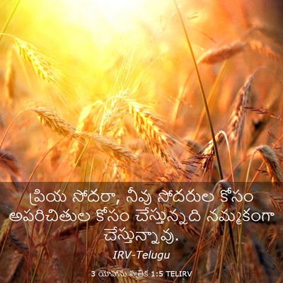 Picture 03 - 3 యోహాను పత్రిక 1:5 TELIRV - ప్రియ సోదరా, నీవు - Bible Verse Picture