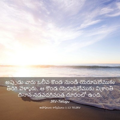 Picture 03 - అపొస్తలుల కార్యములు 1:12 TELIRV - అప్పుడు వారు ఒలీవ - Bible Verse Picture