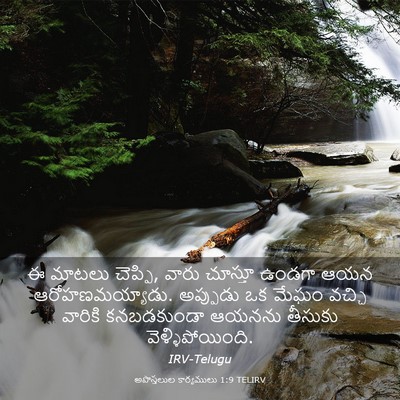 Picture 03 - అపొస్తలుల కార్యములు 1:9 TELIRV - ఈ మాటలు చెప్పి, - Bible Verse Picture