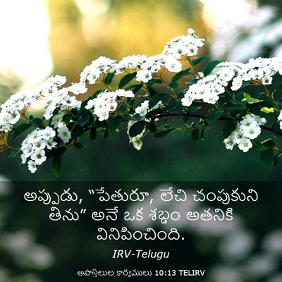 Picture 03 - అపొస్తలుల కార్యములు 10:13 TELIRV - అప్పుడు, “పేతురూ, - Bible Verse Picture