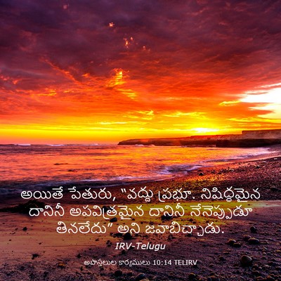 Picture 03 - అపొస్తలుల కార్యములు 10:14 TELIRV - అయితే పేతురు, - Bible Verse Picture