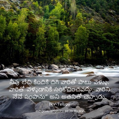 Picture 03 - అపొస్తలుల కార్యములు 10:20 TELIRV - నీవు లేచి కిందికి - Bible Verse Picture