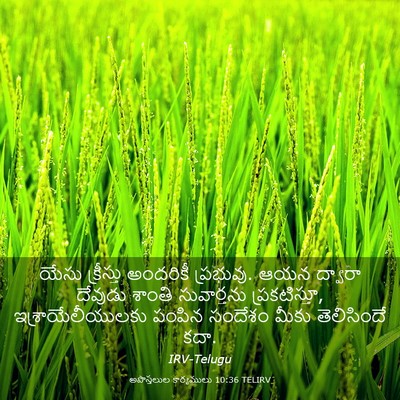 Picture 03 - అపొస్తలుల కార్యములు 10:36 TELIRV - యేసు క్రీస్తు - Bible Verse Picture
