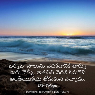 Picture 03 - అపొస్తలుల కార్యములు 11:25 TELIRV - బర్నబా సౌలును - Bible Verse Picture