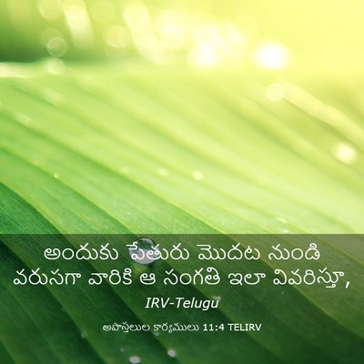 Picture 03 - అపొస్తలుల కార్యములు 11:4 TELIRV - అందుకు పేతురు - Bible Verse Picture