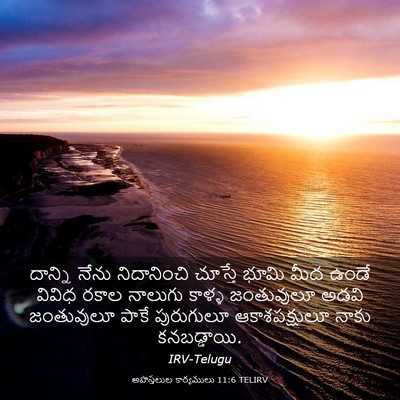 Picture 03 - అపొస్తలుల కార్యములు 11:6 TELIRV - దాన్ని నేను - Bible Verse Picture