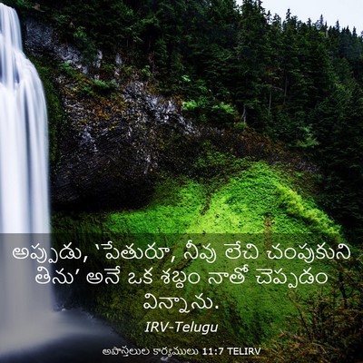 Picture 03 - అపొస్తలుల కార్యములు 11:7 TELIRV - అప్పుడు, ‘పేతురూ, - Bible Verse Picture