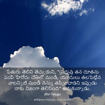 Picture 03 - అపొస్తలుల కార్యములు 12:11 TELIRV - పేతురు తెలివి - Bible Verse Picture