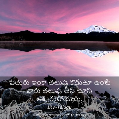 Picture 03 - అపొస్తలుల కార్యములు 12:16 TELIRV - పేతురు ఇంకా తలుపు - Bible Verse Picture