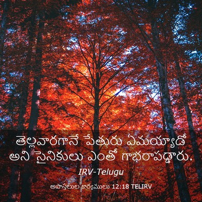 Picture 03 - అపొస్తలుల కార్యములు 12:18 TELIRV - తెల్లవారగానే - Bible Verse Picture