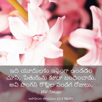 Picture 03 - అపొస్తలుల కార్యములు 12:3 TELIRV - ఇది యూదులకు - Bible Verse Picture