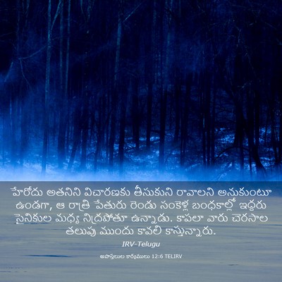 Picture 03 - అపొస్తలుల కార్యములు 12:6 TELIRV - హేరోదు అతనిని - Bible Verse Picture