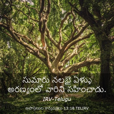 Picture 03 - అపొస్తలుల కార్యములు 13:18 TELIRV - సుమారు నలభై ఏళ్ళు - Bible Verse Picture