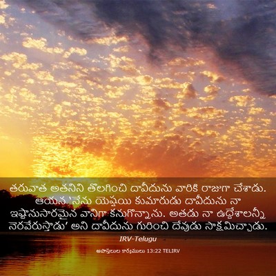 Picture 03 - అపొస్తలుల కార్యములు 13:22 TELIRV - తరువాత అతనిని - Bible Verse Picture