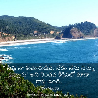 Picture 03 - అపొస్తలుల కార్యములు 13:33 TELIRV - “‘నీవు నా - Bible Verse Picture