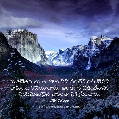 Picture 03 - అపొస్తలుల కార్యములు 13:48 TELIRV - యూదేతరులు ఆ మాట - Bible Verse Picture