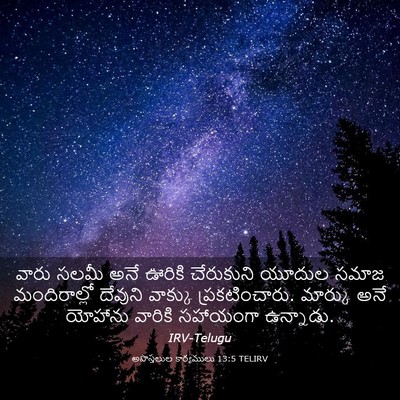 Picture 03 - అపొస్తలుల కార్యములు 13:5 TELIRV - వారు సలమీ అనే - Bible Verse Picture