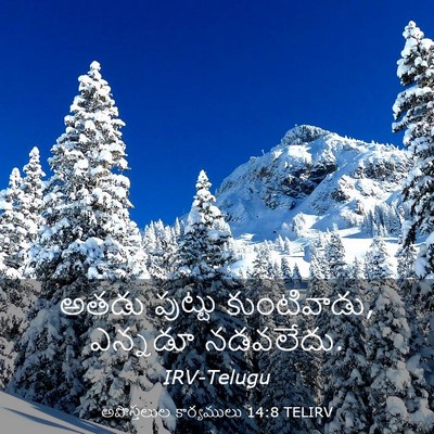 Picture 03 - అపొస్తలుల కార్యములు 14:8 TELIRV - అతడు పుట్టు - Bible Verse Picture