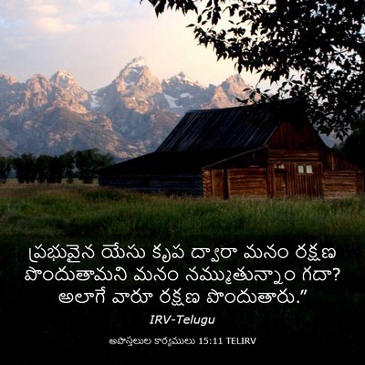 Picture 03 - అపొస్తలుల కార్యములు 15:11 TELIRV - ప్రభువైన యేసు కృప - Bible Verse Picture