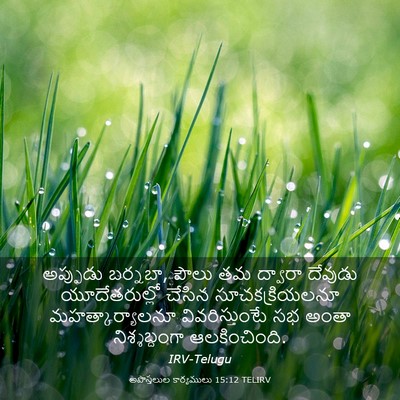 Picture 03 - అపొస్తలుల కార్యములు 15:12 TELIRV - అప్పుడు బర్నబా, - Bible Verse Picture