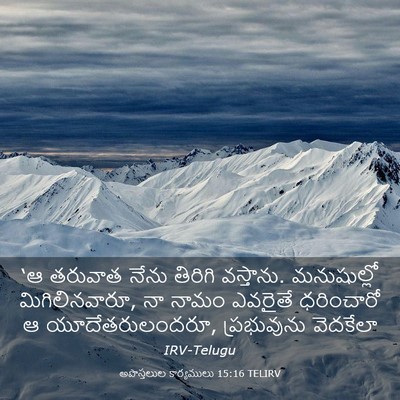 Picture 03 - అపొస్తలుల కార్యములు 15:16 TELIRV - ‘ఆ తరువాత నేను - Bible Verse Picture