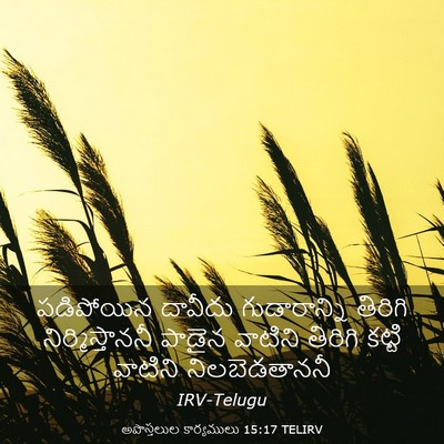 Picture 03 - అపొస్తలుల కార్యములు 15:17 TELIRV - పడిపోయిన దావీదు - Bible Verse Picture