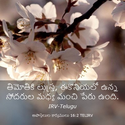Picture 03 - అపొస్తలుల కార్యములు 16:2 TELIRV - తిమోతికి లుస్త్ర, - Bible Verse Picture