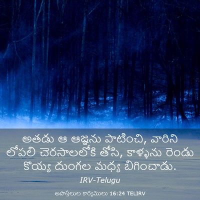 Picture 03 - అపొస్తలుల కార్యములు 16:24 TELIRV - అతడు ఆ ఆజ్ఞను - Bible Verse Picture