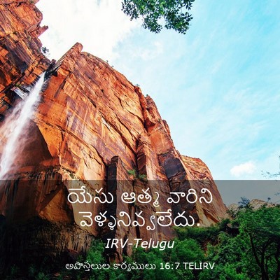 Picture 03 - అపొస్తలుల కార్యములు 16:7 TELIRV - యేసు ఆత్మ వారిని - Bible Verse Picture