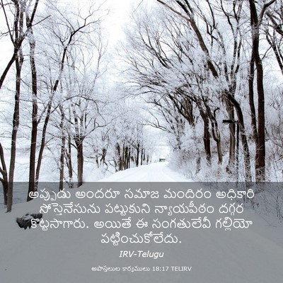 Picture 03 - అపొస్తలుల కార్యములు 18:17 TELIRV - అప్పుడు అందరూ - Bible Verse Picture