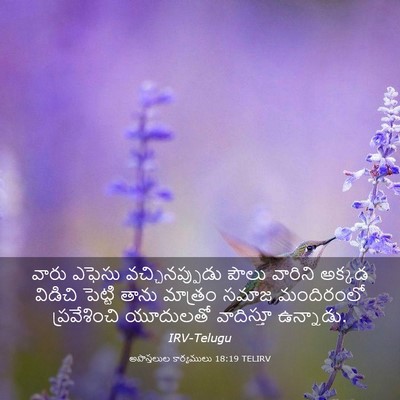 Picture 03 - అపొస్తలుల కార్యములు 18:19 TELIRV - వారు ఎఫెసు - Bible Verse Picture