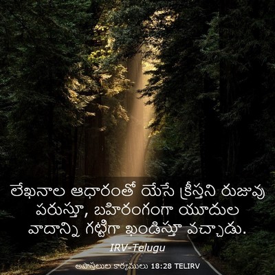 Picture 03 - అపొస్తలుల కార్యములు 18:28 TELIRV - లేఖనాల ఆధారంతో - Bible Verse Picture