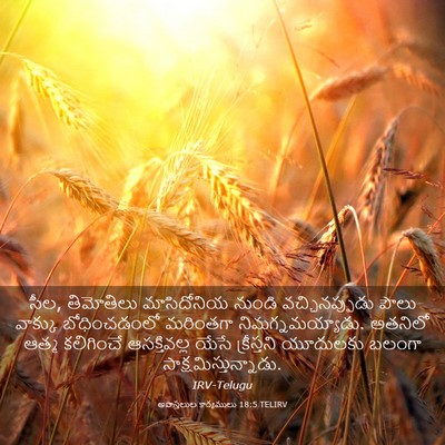 Picture 03 - అపొస్తలుల కార్యములు 18:5 TELIRV - సీల, తిమోతిలు - Bible Verse Picture