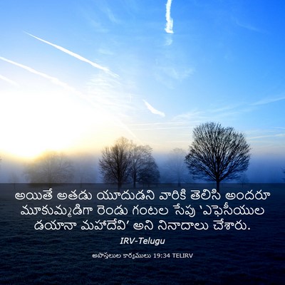Picture 03 - అపొస్తలుల కార్యములు 19:34 TELIRV - అయితే అతడు - Bible Verse Picture