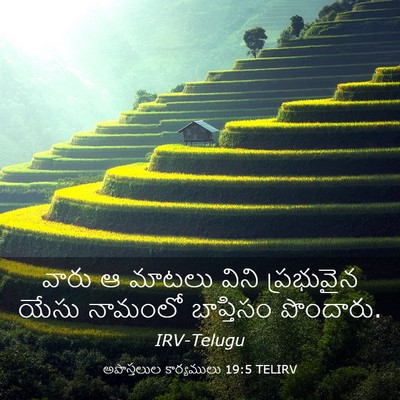 Picture 03 - అపొస్తలుల కార్యములు 19:5 TELIRV - వారు ఆ మాటలు విని - Bible Verse Picture