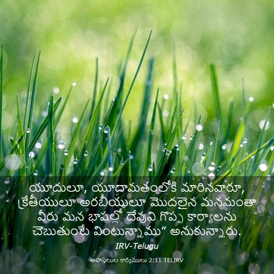 Picture 03 - అపొస్తలుల కార్యములు 2:11 TELIRV - యూదులూ, - Bible Verse Picture