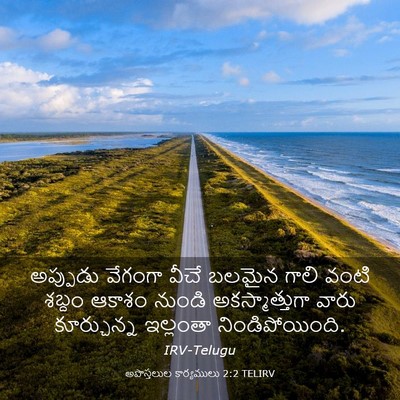 Picture 03 - అపొస్తలుల కార్యములు 2:2 TELIRV - అప్పుడు వేగంగా - Bible Verse Picture