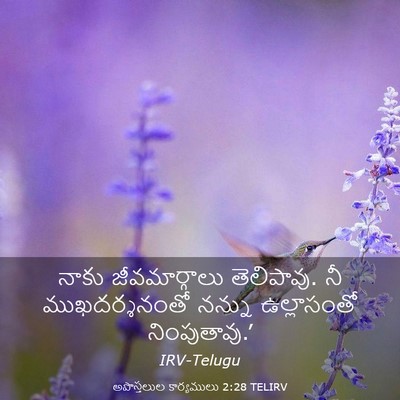 Picture 03 - అపొస్తలుల కార్యములు 2:28 TELIRV - నాకు జీవమార్గాలు - Bible Verse Picture