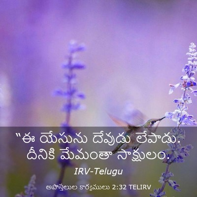 Picture 03 - అపొస్తలుల కార్యములు 2:32 TELIRV - “ఈ యేసును దేవుడు - Bible Verse Picture