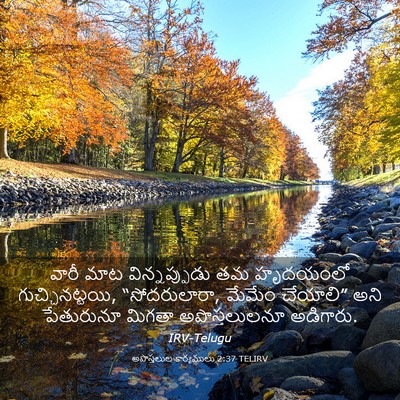 Picture 03 - అపొస్తలుల కార్యములు 2:37 TELIRV - వారీ మాట - Bible Verse Picture