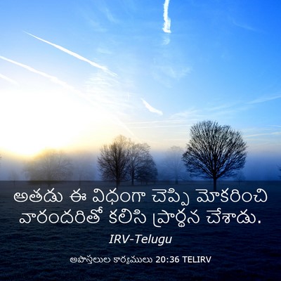 Picture 03 - అపొస్తలుల కార్యములు 20:36 TELIRV - అతడు ఈ విధంగా - Bible Verse Picture