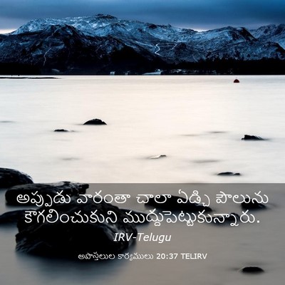 Picture 03 - అపొస్తలుల కార్యములు 20:37 TELIRV - అప్పుడు వారంతా - Bible Verse Picture