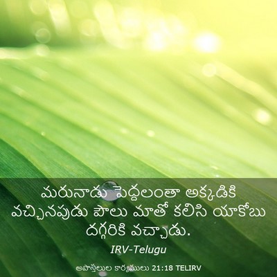 Picture 03 - అపొస్తలుల కార్యములు 21:18 TELIRV - మరునాడు పెద్దలంతా - Bible Verse Picture