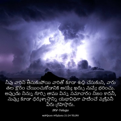 Picture 03 - అపొస్తలుల కార్యములు 21:24 TELIRV - నీవు వారిని - Bible Verse Picture