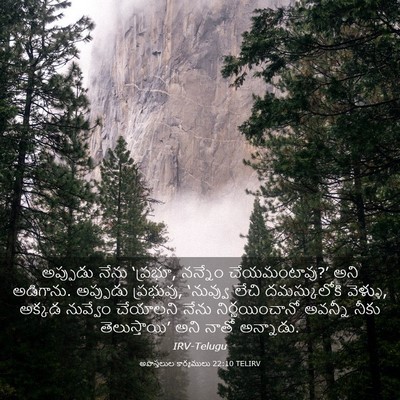 Picture 03 - అపొస్తలుల కార్యములు 22:10 TELIRV - అప్పుడు నేను - Bible Verse Picture
