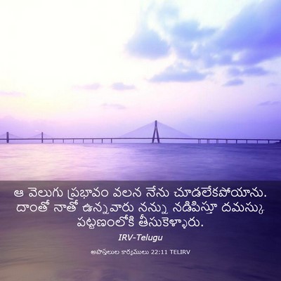 Picture 03 - అపొస్తలుల కార్యములు 22:11 TELIRV - ఆ వెలుగు ప్రభావం - Bible Verse Picture