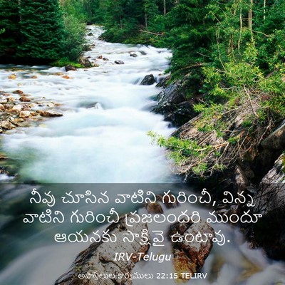 Picture 03 - అపొస్తలుల కార్యములు 22:15 TELIRV - నీవు చూసిన వాటిని - Bible Verse Picture