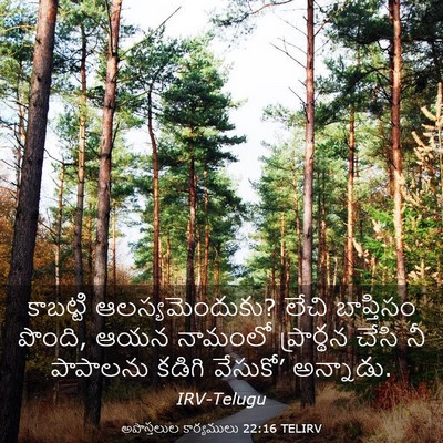 Picture 03 - అపొస్తలుల కార్యములు 22:16 TELIRV - కాబట్టి - Bible Verse Picture
